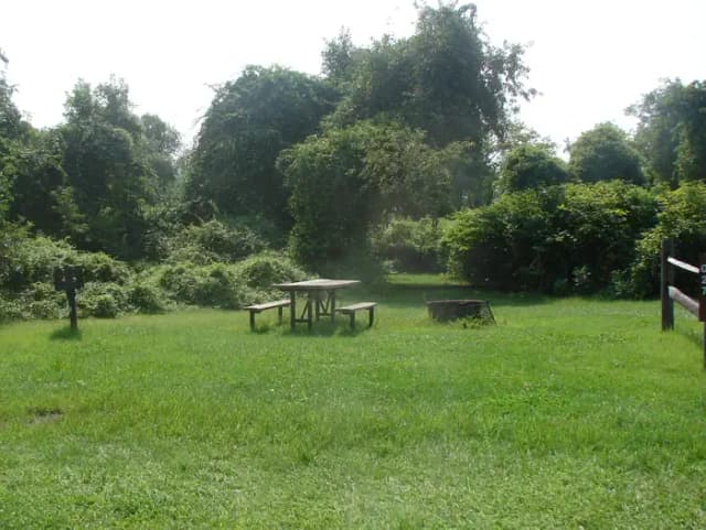 Goldenrod · Site G27 at Camp Gateway- Brooklyn Ny