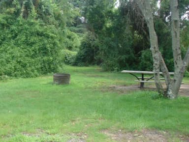 Goldenrod · Site G30 at Camp Gateway- Brooklyn Ny