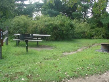 Goldenrod · Site G32 at Camp Gateway- Brooklyn Ny