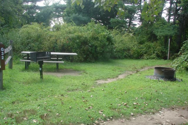 Goldenrod · Site G32 at Camp Gateway- Brooklyn Ny