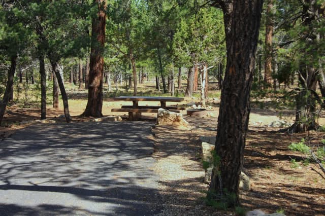 Picnic table, fire pit, and park spot, Mather Campground