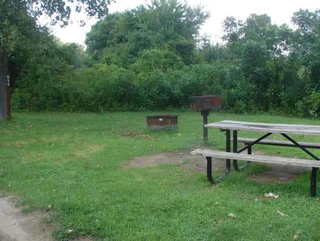 Goldenrod · Site G34 at Camp Gateway- Brooklyn Ny