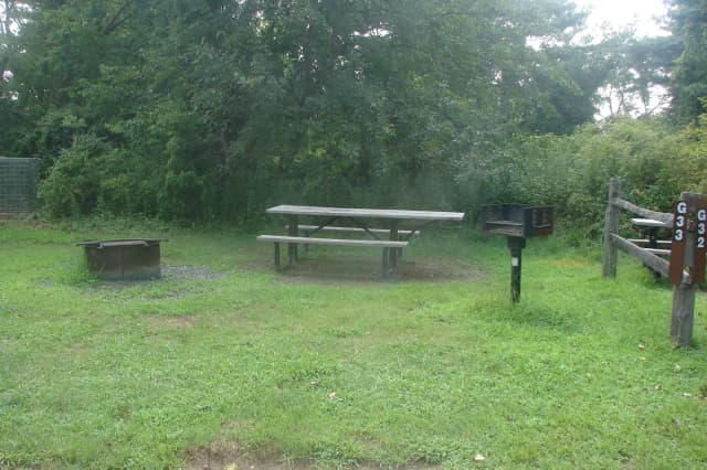 Goldenrod · Site G33 at Camp Gateway- Brooklyn Ny