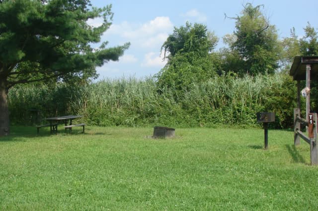 Tamarack · Site T1 at Camp Gateway- Brooklyn Ny