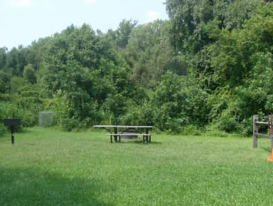 Tamarack · Site T11 at Camp Gateway- Brooklyn Ny