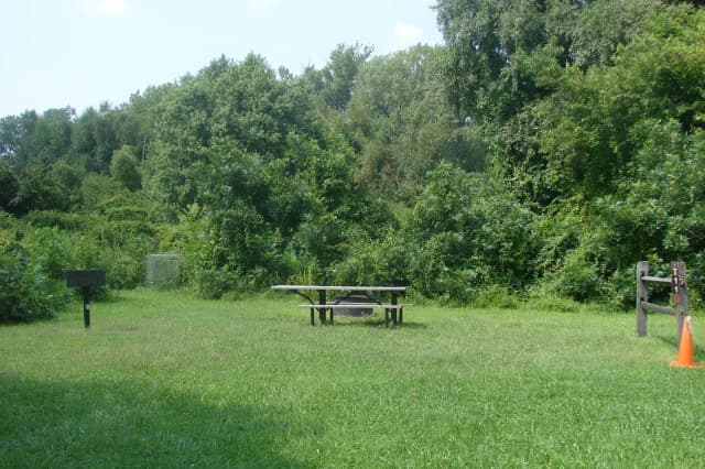 Tamarack · Site T11 at Camp Gateway- Brooklyn Ny