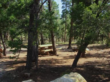 Picnic table, fire pit, and park spot, Mather Campground