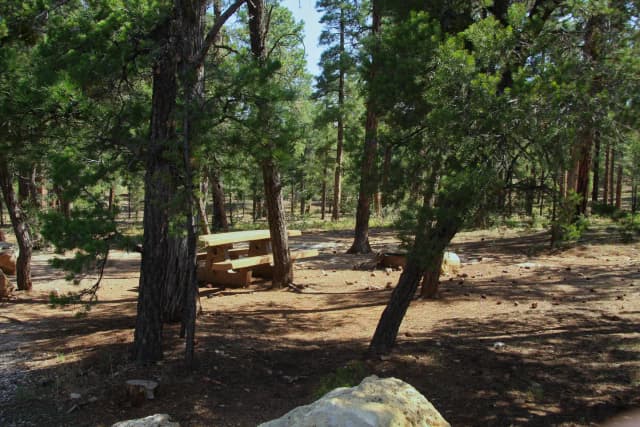 Picnic table, fire pit, and park spot, Mather Campground