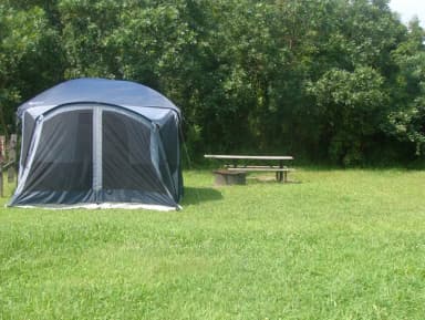 Tamarack · Site T13 at Camp Gateway- Brooklyn Ny
