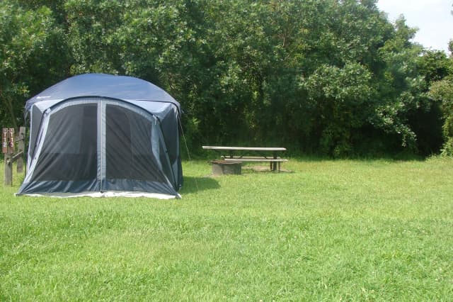 Tamarack · Site T13 at Camp Gateway- Brooklyn Ny