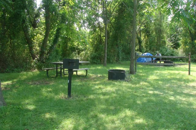 Tamarack · Site T14 at Camp Gateway- Brooklyn Ny