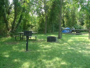 Tamarack · Site T14 at Camp Gateway- Brooklyn Ny