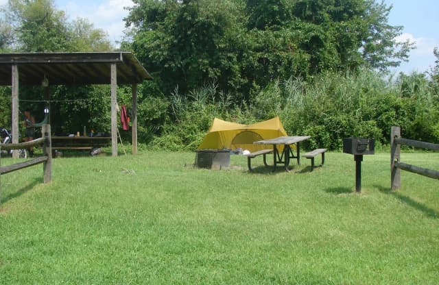 Tamarack · Site T3 at Camp Gateway- Brooklyn Ny