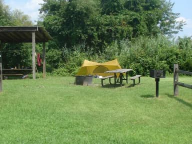 Tamarack · Site T3 at Camp Gateway- Brooklyn Ny
