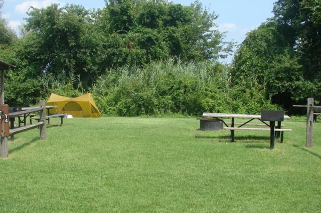 Tamarack · Site T4 at Camp Gateway- Brooklyn Ny