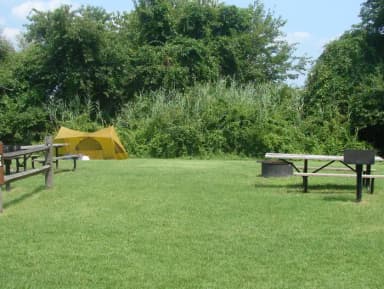 Tamarack · Site T4 at Camp Gateway- Brooklyn Ny