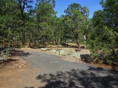 Oak Loop (Sites 201-264) · Site 240 at Mather Campground