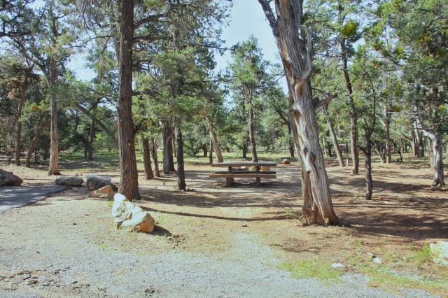 Picnic table, fire pit, and park spot, Mather Campground
