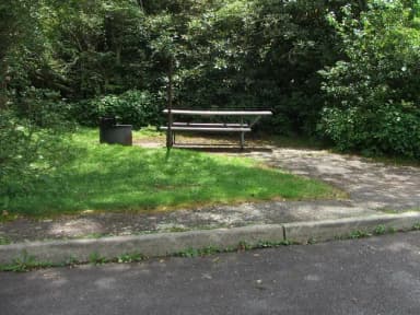 B Loop Site 20  - RV Nonelectric (Handicap Accessible)