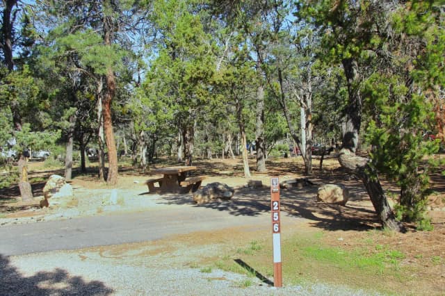 Picnic table, fire pit, and park spot, Mather Campground