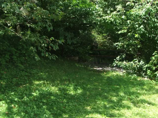 Partial shade