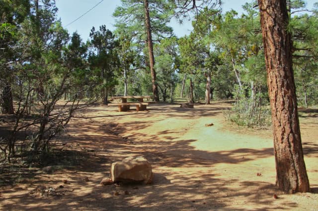 Picnic table and fire pit, Mather Campground