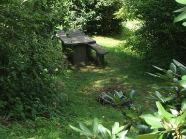 A Loop Site 25 - RV Nonelectric Picnic Table