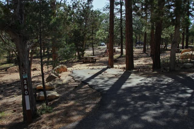 Picnic table, fire pit, and park spot, Mather Campground