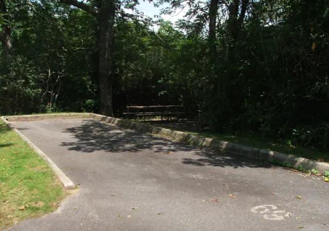 B Loop Site 28