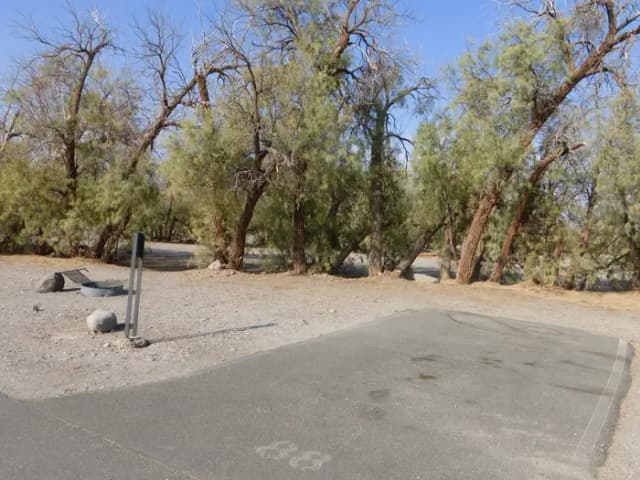 Furnace Creek Campground standard nonelectric site #88 with picnic table and fire ring.