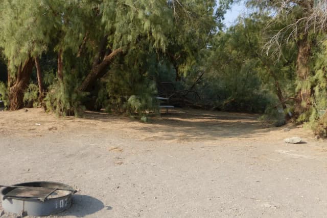 Furnace Creek Campground standard nonelectric tent only drive in site #107 with picnic table and fire ring.