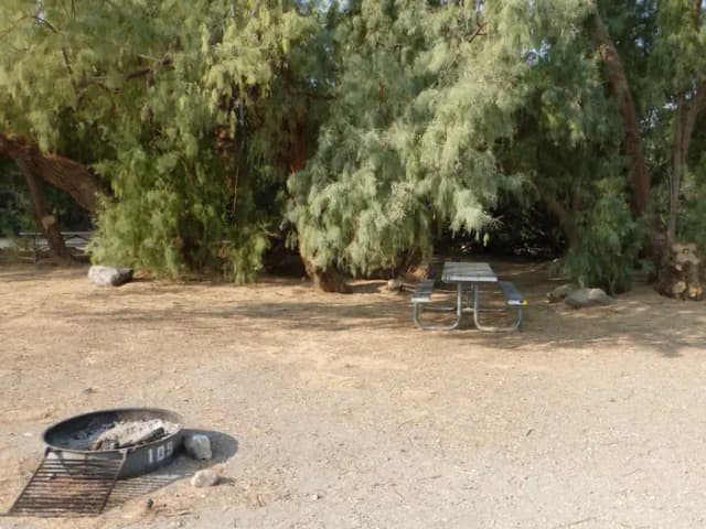 Furnace Creek Campground standard nonelectric tent only drive in site #109 with picnic table and fire ring.
