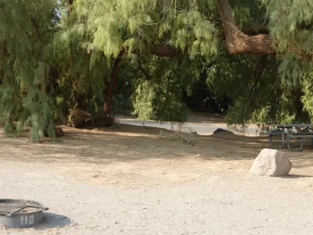Furnace Creek Campground standard nonelectric tent only drive in site #110 with picnic table and fire ring.