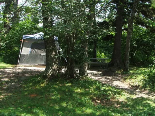 C Loop Site 1 - Tent Nonelectric