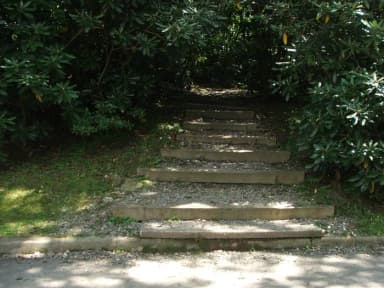 C Loop Site 7 - Tent Nonelectric Stairs