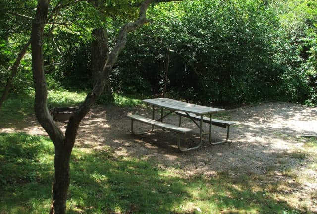 C Loop Site 8 - Tent Nonelectric Picnic Table