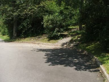 C Loop Site 9