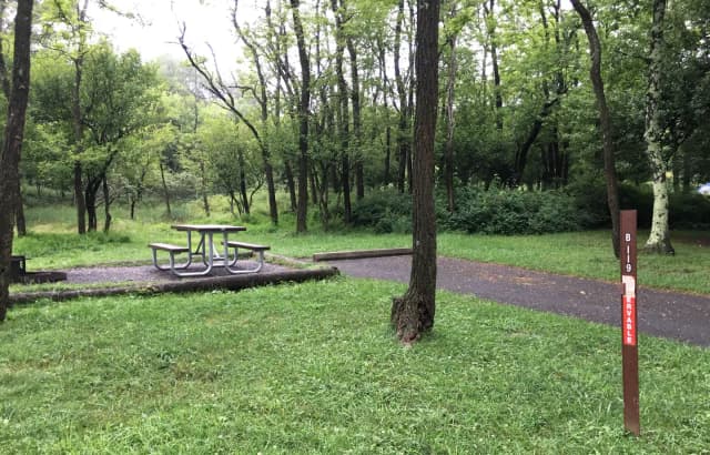 Campsite B119