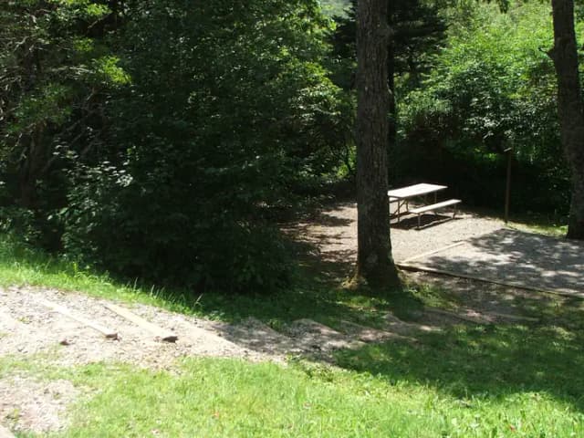 C Loop Site 11 - Tent Nonelectric