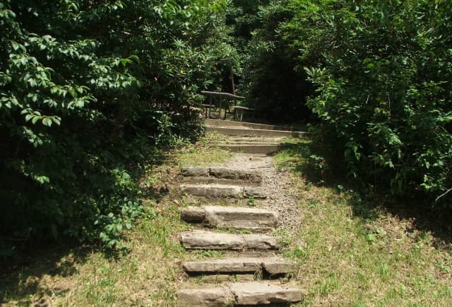 C Loop Site 12 - Tent Nonelectric Stairs