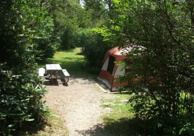 C Loop Site 13