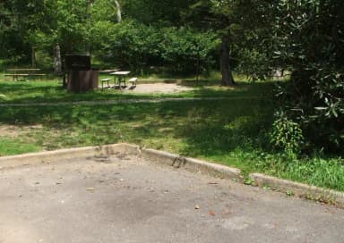 C Loop Site 21