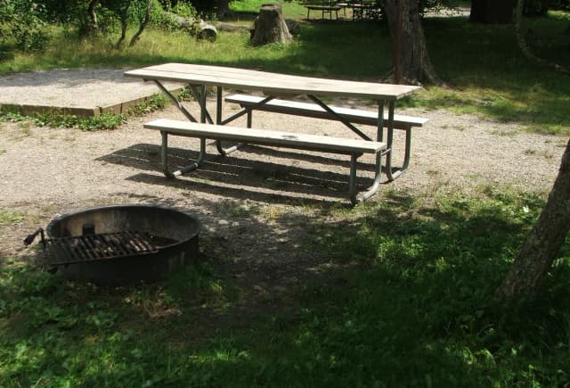 C Loop Site 21 - Tent Nonelectric