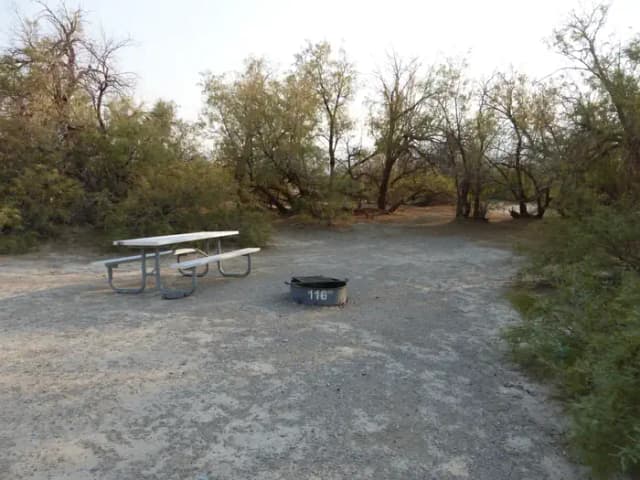 Tent only walk in site #116.  No campervans, RV's, or pop up tents.  One firepit with grate and one picnic table.  No utilities.