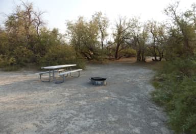 Tent only walk in site #116.  No campervans, RV's, or pop up tents.  One firepit with grate and one picnic table.  No utilities.