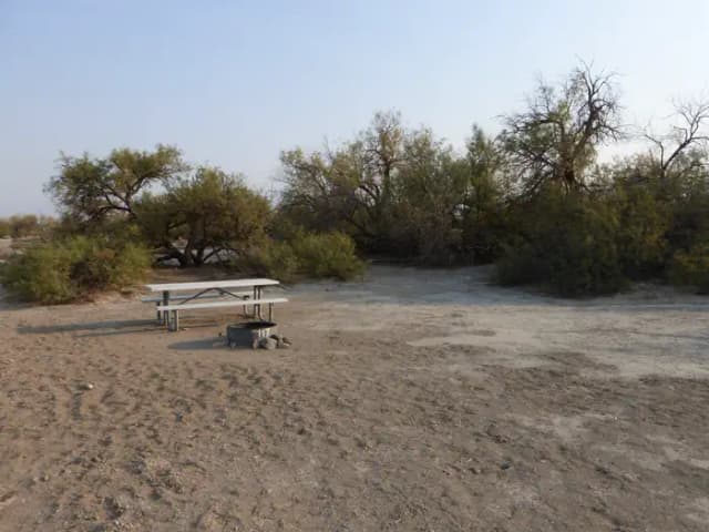 Tent only walk in site #117.  No campervans, RV's, or pop up tents.  One firepit with grate and one picnic table.  No utilities.