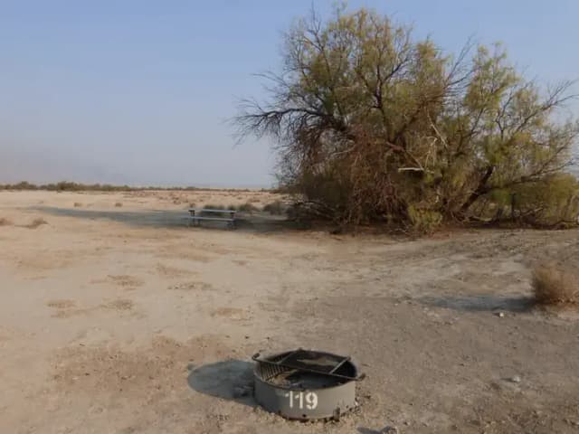 Tent only walk in site #119.  No campervans, RV's, or pop up tents.  One firepit with grate and one picnic table.  No utilities.