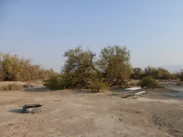 Tent only walk in site #118.  No campervans, RV's, or pop up tents.  One firepit with grate and one picnic table.  No utilities.
