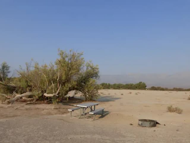 Tent only walk in site #120.  No campervans, RV's, or pop up tents.  One firepit with grate and one picnic table.  No utilities.