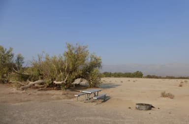 Tent only walk in site #120.  No campervans, RV's, or pop up tents.  One firepit with grate and one picnic table.  No utilities.
